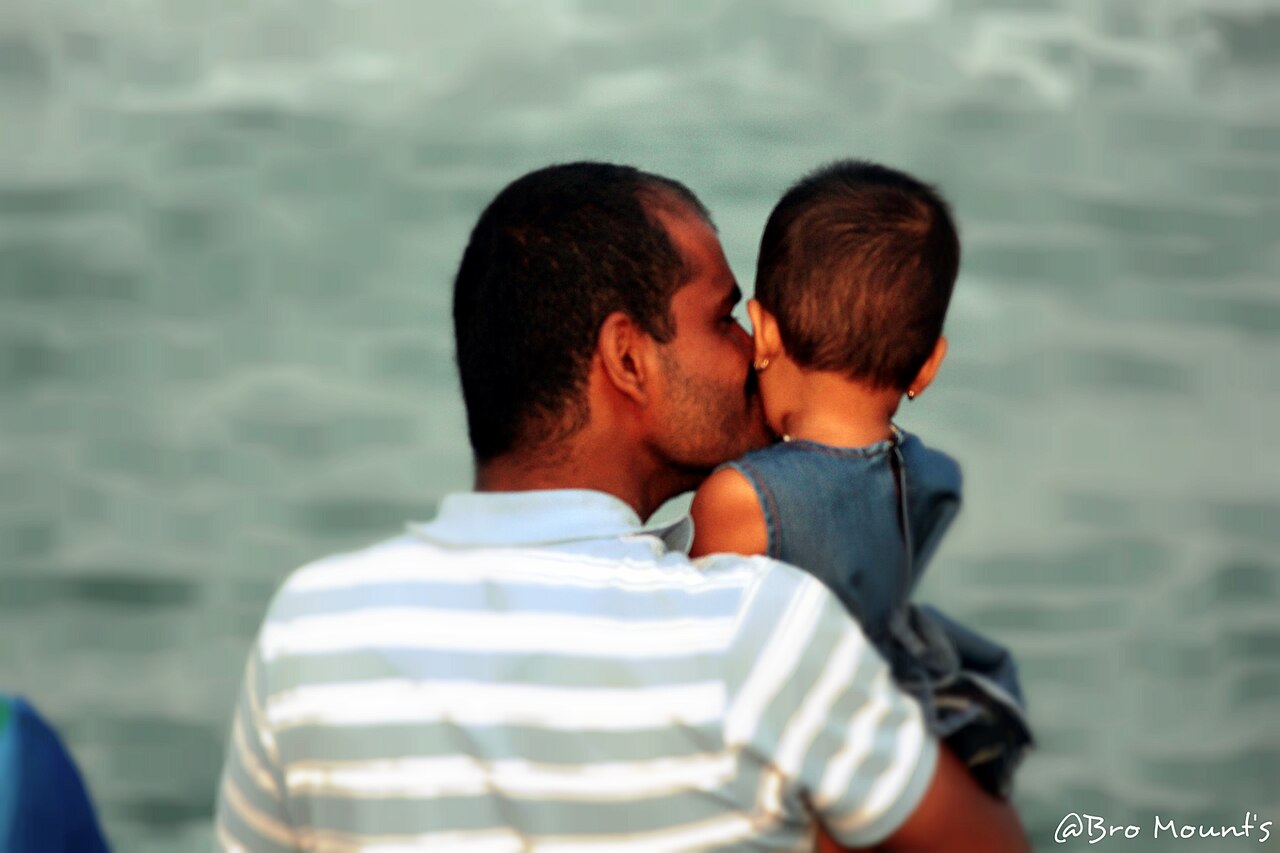 Fathers and Sons (novel)