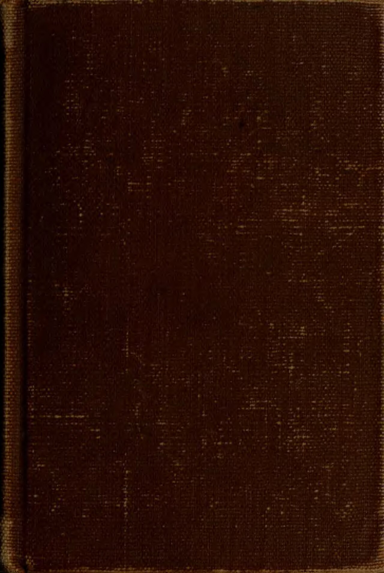Fathers and Sons (novel)