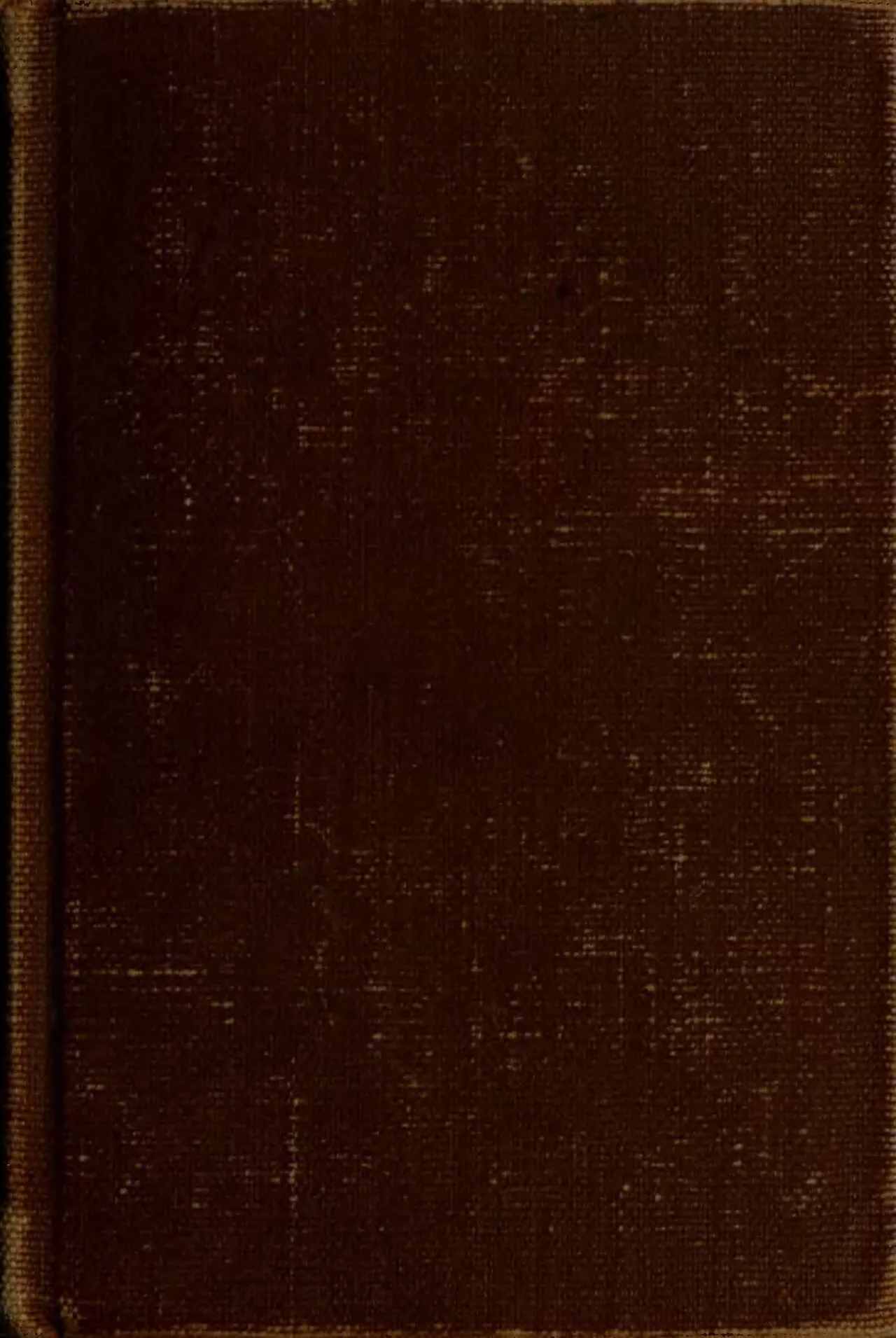 Fathers and Sons (novel)